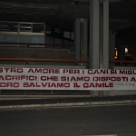 giornali3