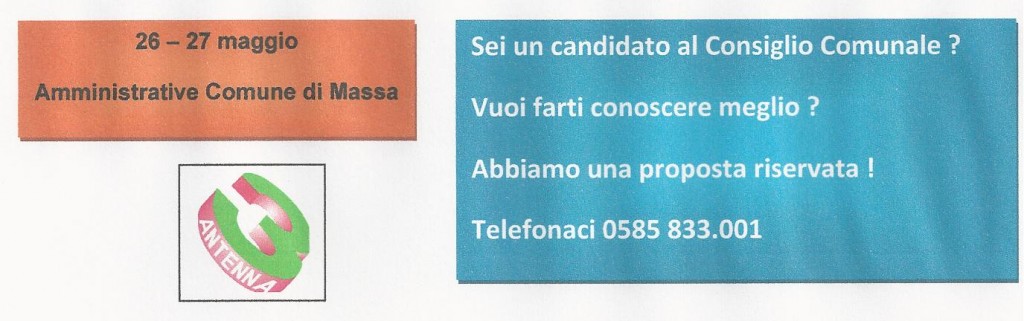 AMM 2013
