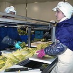 haccp