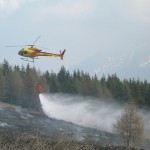 incendio boschivo