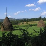 sviluppo rurale