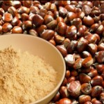 farina castagne