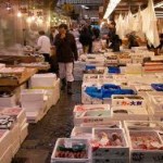mercato ittico cinquale