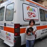 pimpa