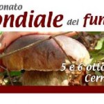 campionato fungo