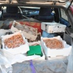 sequestro pesce