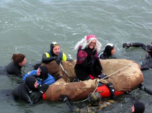 befana vien dal mare