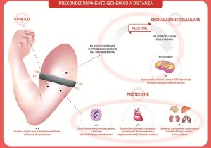 illustrazione