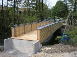 francigena nuovo PONTE