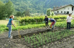 orto familiare