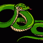vipera