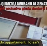 iene senato