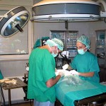 sanità sala operatoria ospedale