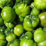 pomodori-verdi