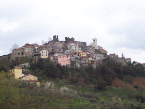 bibolavista