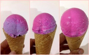 gelato camaleonte