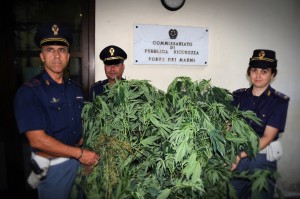polizia f d marmi marijuana 8 14