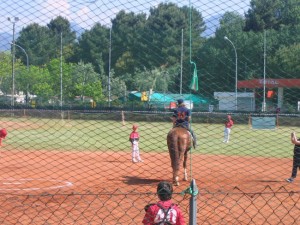 campo baseball