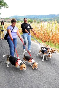cani al guinzaglio