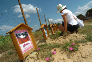 cimitero animali