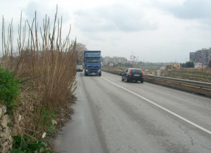 strada arbusti