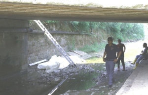 cadavere parmignola 3 7 15