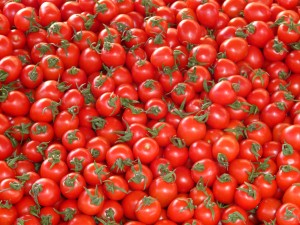 pomodorini