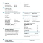 Il Polo P&S: Gaia Spa garantisca la rateizzazione di ogni bolletta