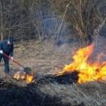 Abbruciamenti di sfalci, WWF denuncia: «Pratica illegale e dannosa per la salute»