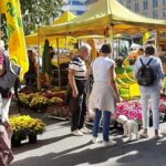 SAN FRANCESCO: COLDIRETTI MASSA CARRARA, AGRIGELATO, LABORATORI E MERCATO CONTADINO, QUANTE NOVITÀ IN LARGO MATTEOTTI PER IL SANTO PATRONO