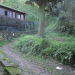  Esposto per chiusura abusiva della strada comunale vicinale delle Ferriere in località San Remigio