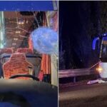 Tragedia dopo la partita di basket Rieti–Pistoia: autista ucciso da un mattone lanciato contro il pullman dei tifosi