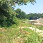 TORNA IL LAGHETTO NELLA BUCA DEGLI SFORZA