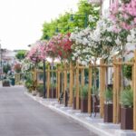 NUOVA VITA PER VIA MAZZINI: INAUGURATA LA RIQUALIFICAZIONE DEL TRATTO TRA VIA RISORGIMENTO E VIA MICHELANGELO