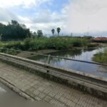 Allarme igienico al fosso Magliano, segnalata presenza massiccia di roditori