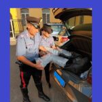 Sequestrati 140 chilogrammi di hashish. Arrestata una donna dai Carabinieri del Nucleo Investigativo di Massa Carrara.