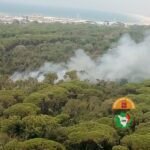 Incendi in Versilia, proseguono le operazioni di spegnimento a Viareggio e Seravezza
