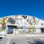 Il Polo P&S: presentata interrogazione sulla distruzione del murale di Orticanoodles 