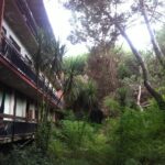 Villa Verde, dopo 30 anni di abbandono arriva il via libera al recupero